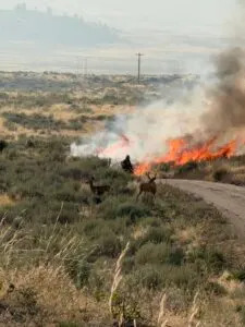 Wildfires Ravage Tribal Lands in Washington and Oregon — Health, Cultural and Economic Toll Mounts