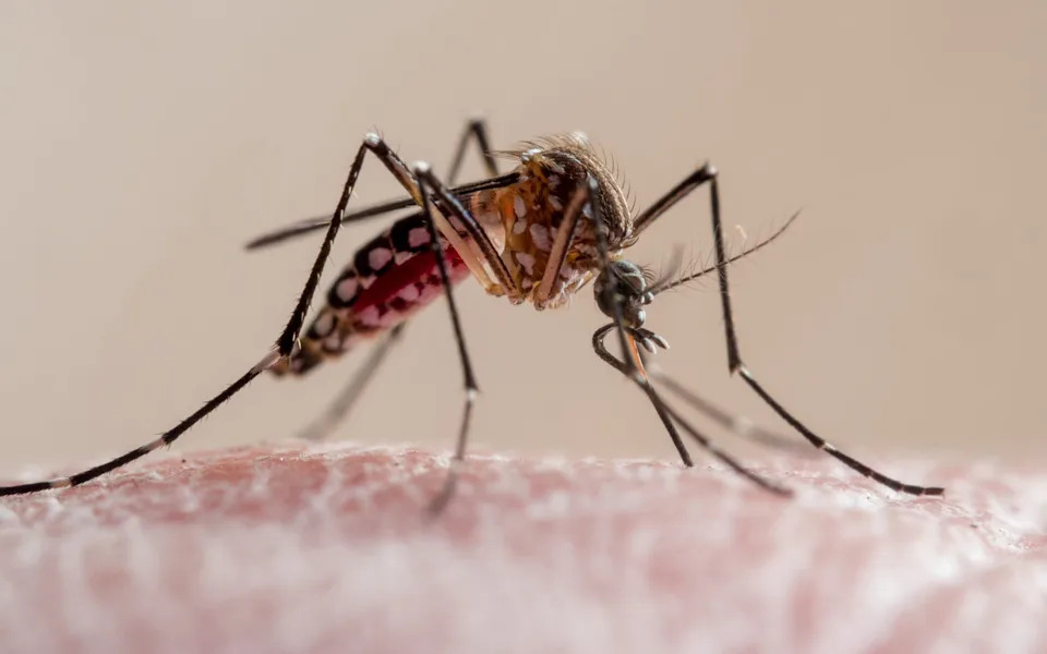 Global Fund Deploys AI Tools to Protect HIV, TB and Malaria Services Amid $6bn Aid Shortfall
