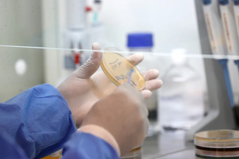 West African Scientists Warn Health Systems Are Weakening — Urgent Call To Boost Outbreak Detection