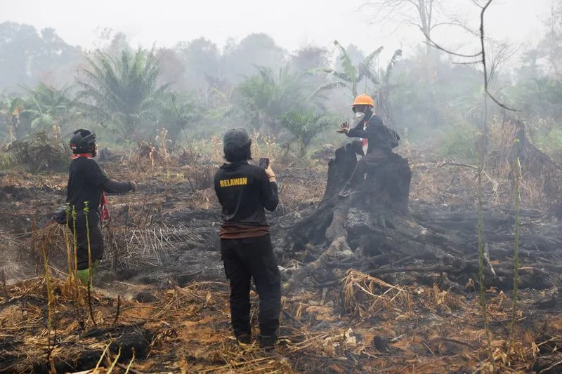 Indigenous and Civil Groups File Class Action Against President Prabowo Over West Kalimantan Wildfires