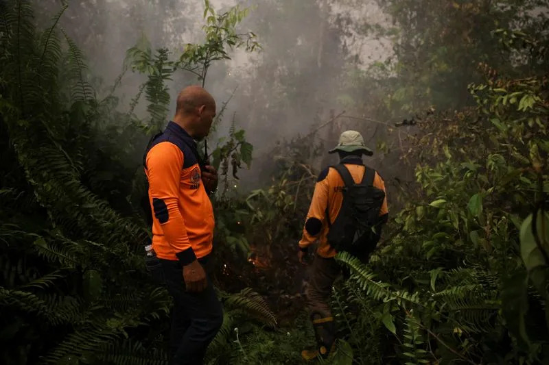 Indigenous and Civil Groups File Class Action Against President Prabowo Over West Kalimantan Wildfires