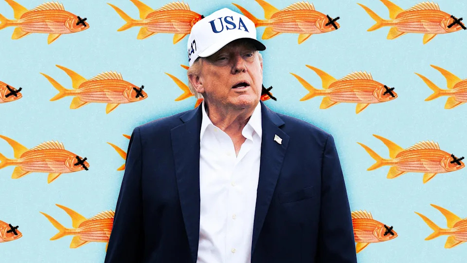 Video Appears To Show Pet-Store Fish Dumped Into Chlorinated Pool At Trump National Golf Club
