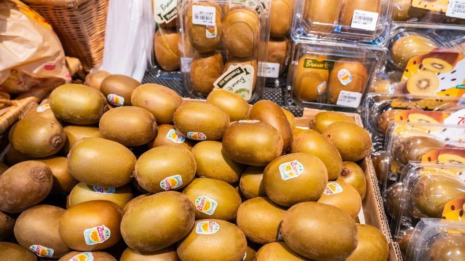 Asia’s Fruit Wars: How Seed Smuggling and IP Theft Threaten Farmers and Food Security