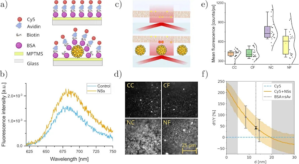 Gold Nanostars Boost Brightness and Speed of QuasAr Voltage Sensors in Living Cells