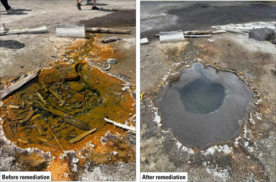 Yellowstone Cleans Geysers — Over 20,000 'Funky' Finds Recovered and Why It Matters