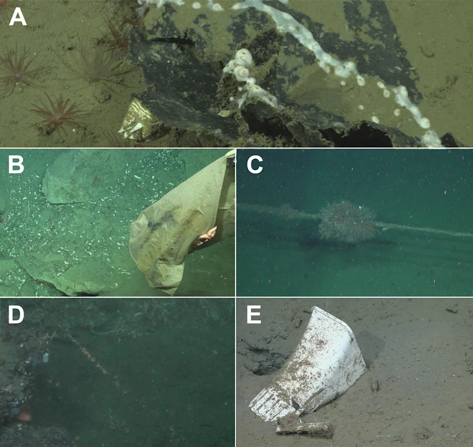 ROV Plumbs Nearly Three Miles Down and Finds Human Litter on Deep-Sea Floor — A Stark Warning
