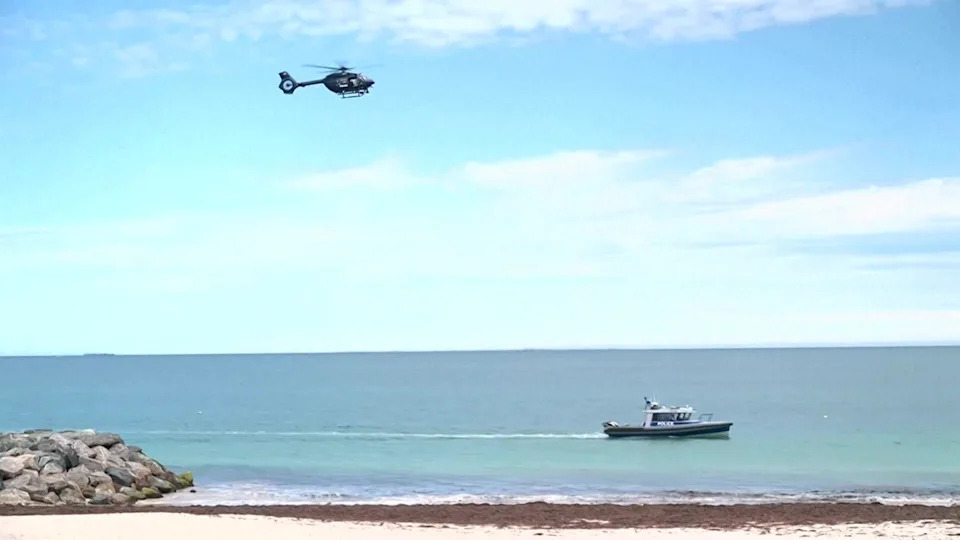 Rare 'Catch-and-Kill' Order Issued After Great White Kills Swimmer Greg O'Neill at Sorrento Beach