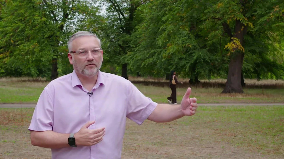 How Drier Summers Could Reshape London's Parks — From Trees to Tiny Water Butts