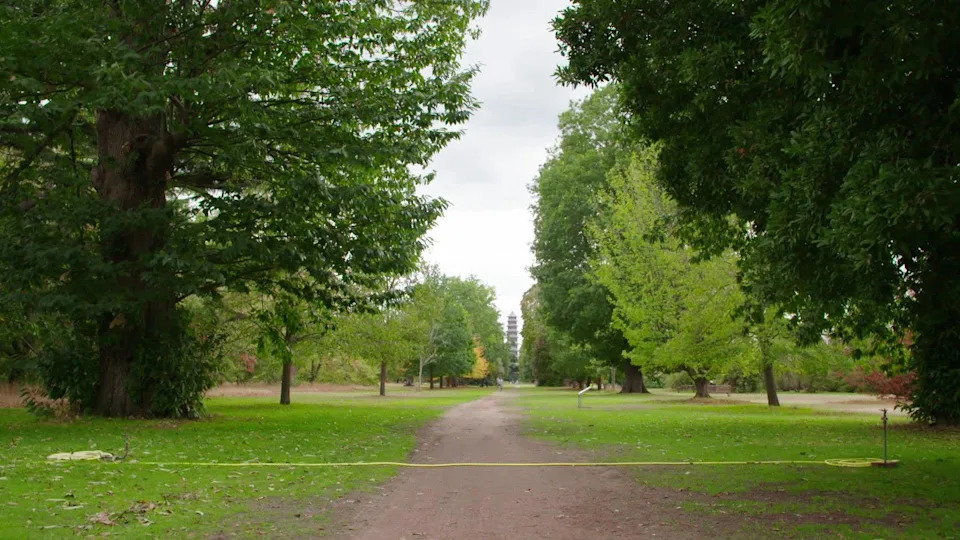 How Drier Summers Could Reshape London's Parks — From Trees to Tiny Water Butts