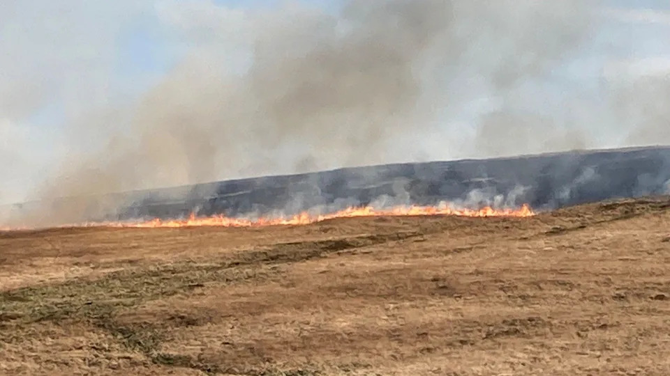 Moorland Fires Surge: West Yorkshire Chief Urges More Government Funding and Coordinated Action