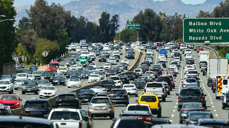 Birdsong Brightens Mood — But Road Noise Wipes Out the Benefits Almost Immediately