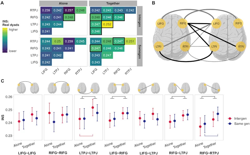 Drawing Together: How Young and Old Brains Forge Connection—Even When Neural Sync Falls