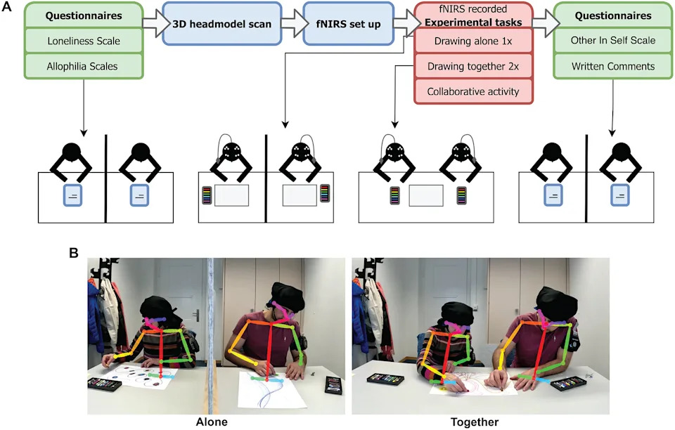 Drawing Together: How Young and Old Brains Forge Connection—Even When Neural Sync Falls