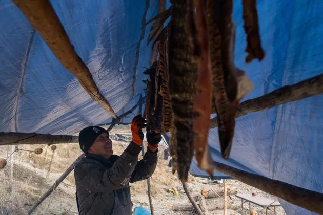 Alaska’s Independents Could Decide a Pivotal Senate Race — And Fish Are Front And Center