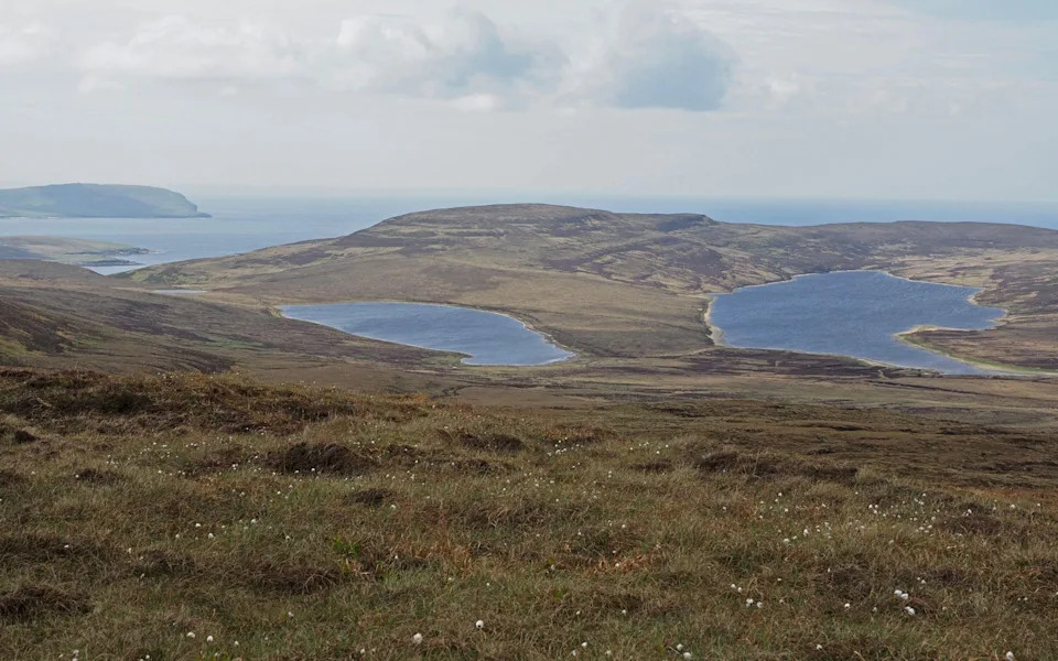 Last Stoat On Rousay Still At Large After £150,000 Response