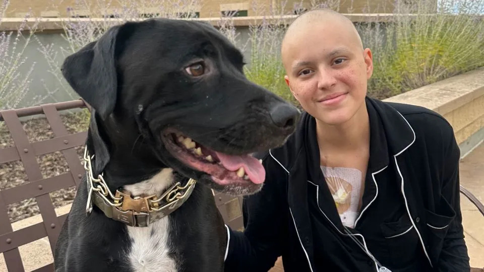 Rare Childhood Cancer Cases Rattle Ladera Ranch — Families Demand Answers as Officials Launch Reviews