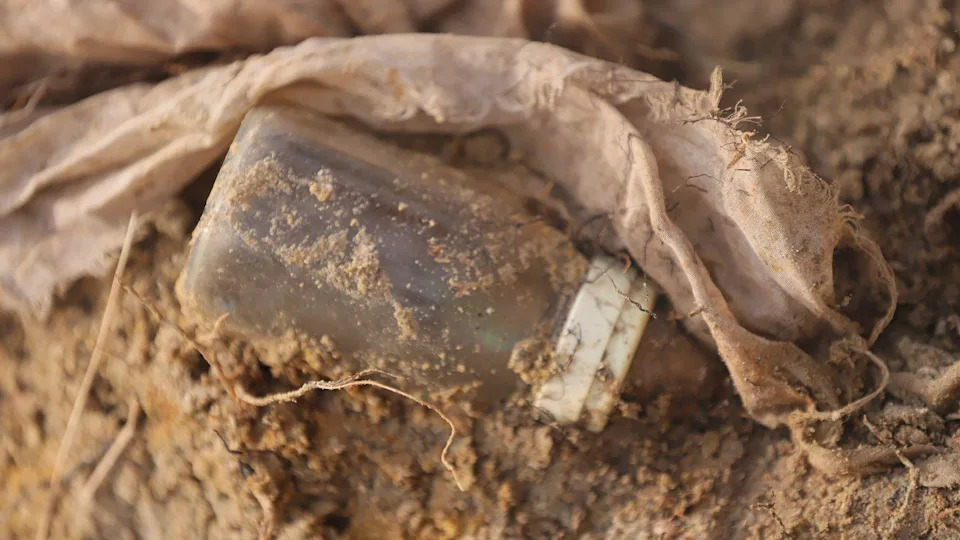 Chemmani Mass Grave: Archaeologists Recover 572 Skeletons — Families Demand DNA Tests and International Inquiry
