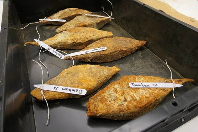 Rusty Treasure: Europe’s Largest Prehistoric Iron Cache — 540 Bars Found in Austria