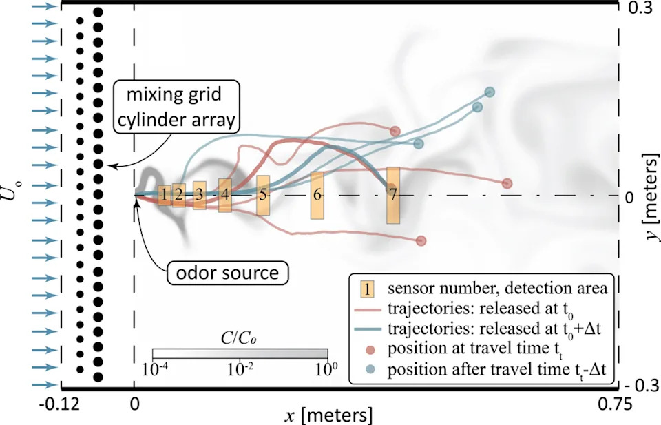 How Turbulence Rewrites Odor Signals: Filtering, Spreading and New Fluctuations