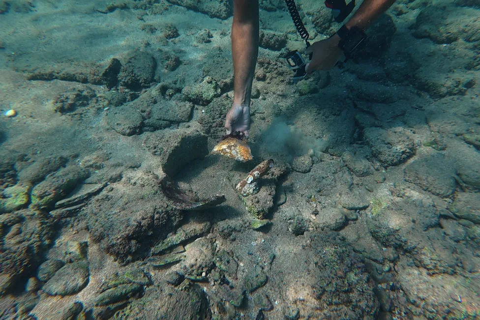 Tyre’s Sunken City: Divers Return to Explore Ancient Ruins After Ceasefire