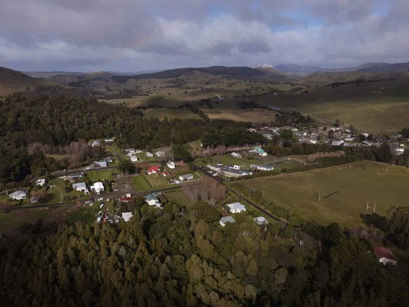 Carbon-Credit Boom Is Replanting New Zealand Farmland — and Hollowing Out Rural Communities