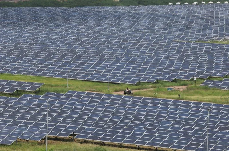 Carbon-Credit Boom Is Replanting New Zealand Farmland — and Hollowing Out Rural Communities