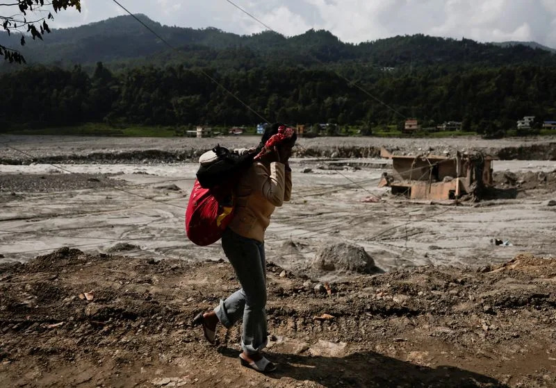 Carbon-Credit Boom Is Replanting New Zealand Farmland — and Hollowing Out Rural Communities