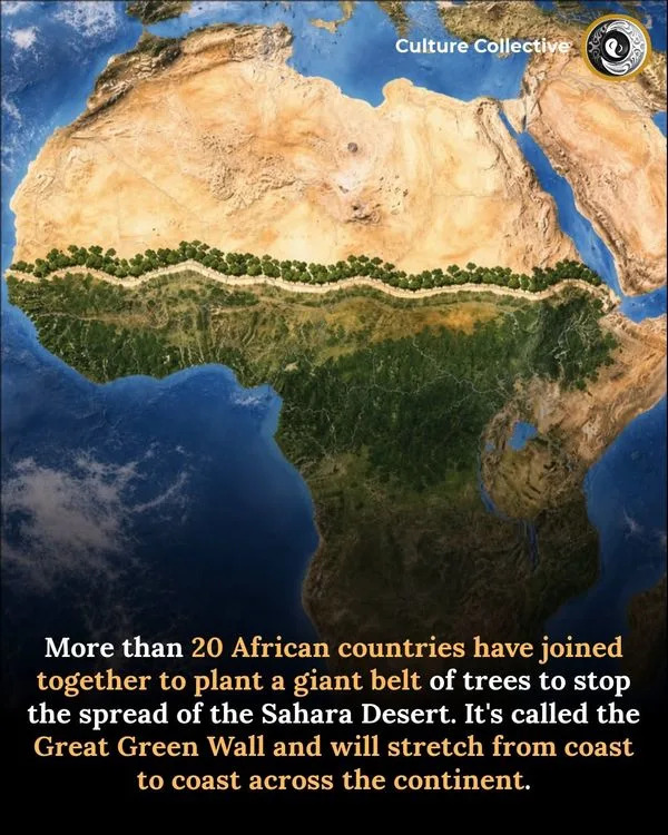 What Really Happened With Africa’s ‘Great Green Wall’ — Ambition, Setbacks and Local Wins