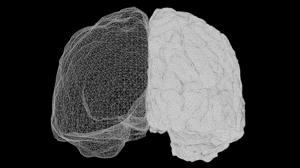Scientists Reveal Human Brain Is Two Ancient Nervous Systems Packaged Together