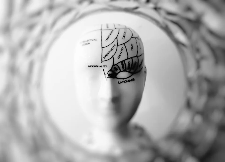 Scientists Reveal Human Brain Is Two Ancient Nervous Systems Packaged Together