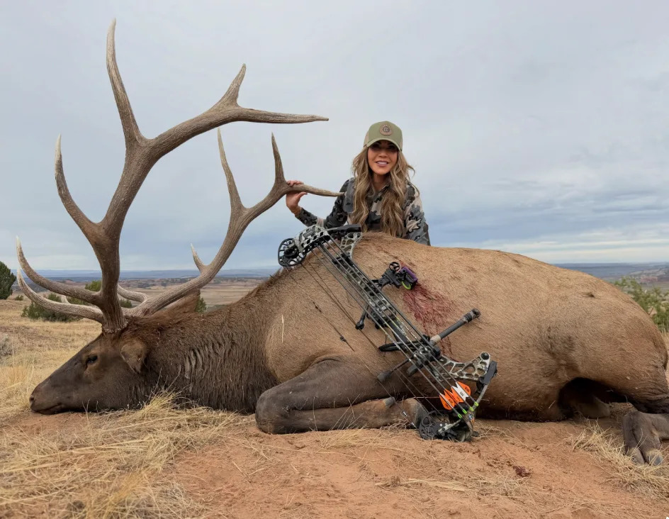 Kristi Noem Sparks Outcry After Sharing Photos With Elk From 'Super Fun' Archery Hunt