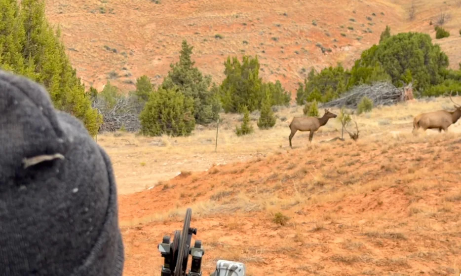 Kristi Noem Sparks Outcry After Sharing Photos With Elk From 'Super Fun' Archery Hunt