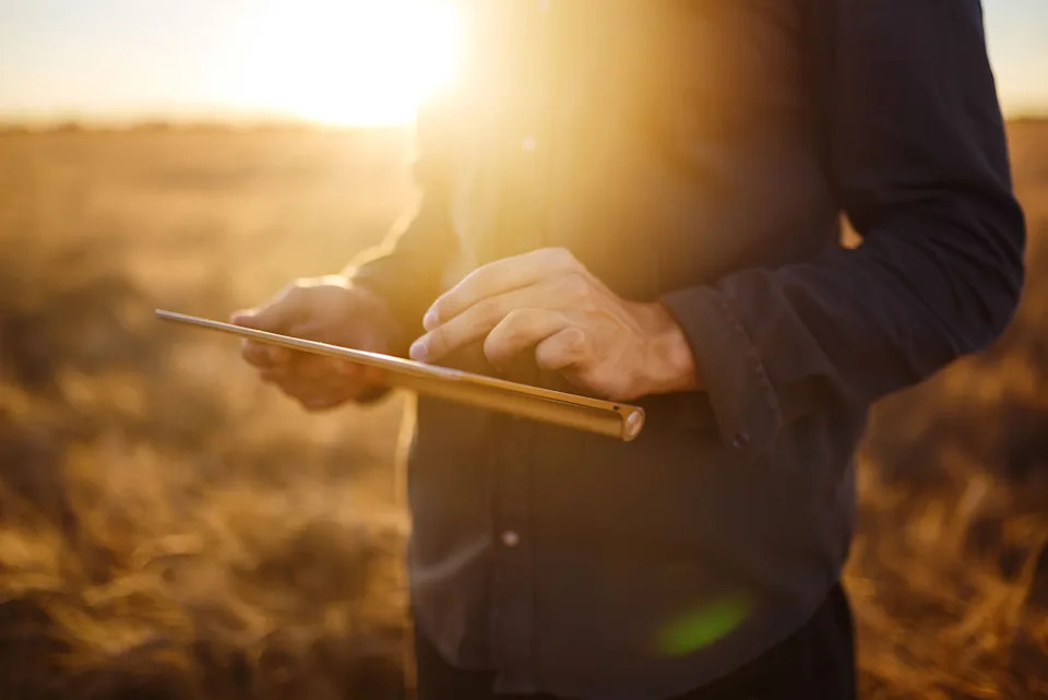 Early Heat Waves Cut Wheat Yields Most — But Can 