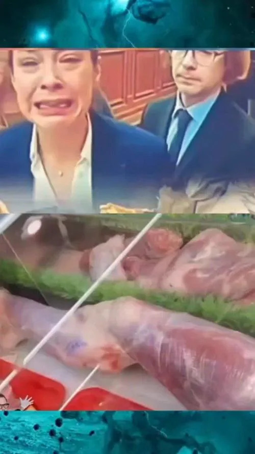 False Claim: Paris Butcher Arrested For Selling Human Meat — Video Filmed in Dubai