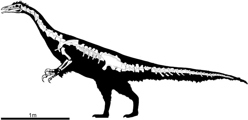 Meet Kayrasaurus changliensis — A Giant, Long‑Clawed Therizinosaur From China