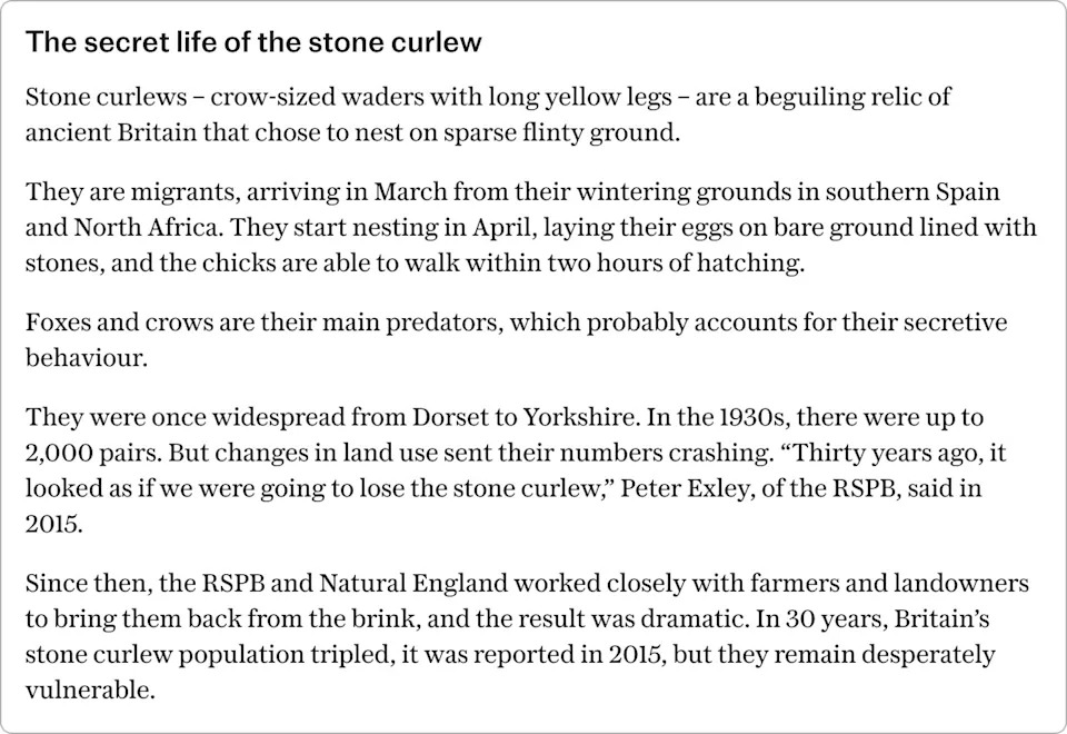 Protected Stone Curlews Threaten Home Office Plan For Second Asylum Camp In Suffolk