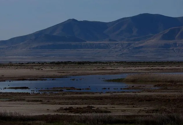 Utah Rushes To Refill Great Salt Lake Before 2034 Olympics As Dust, Wildlife And Water Supply Hang In The Balance