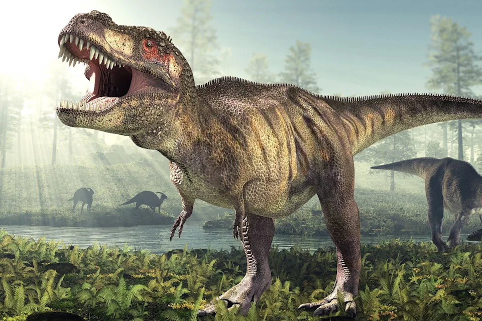 Exceptionally Preserved Wyoming T. rex ‘Rex Junior’ Could Rewrite How We Picture T. rex