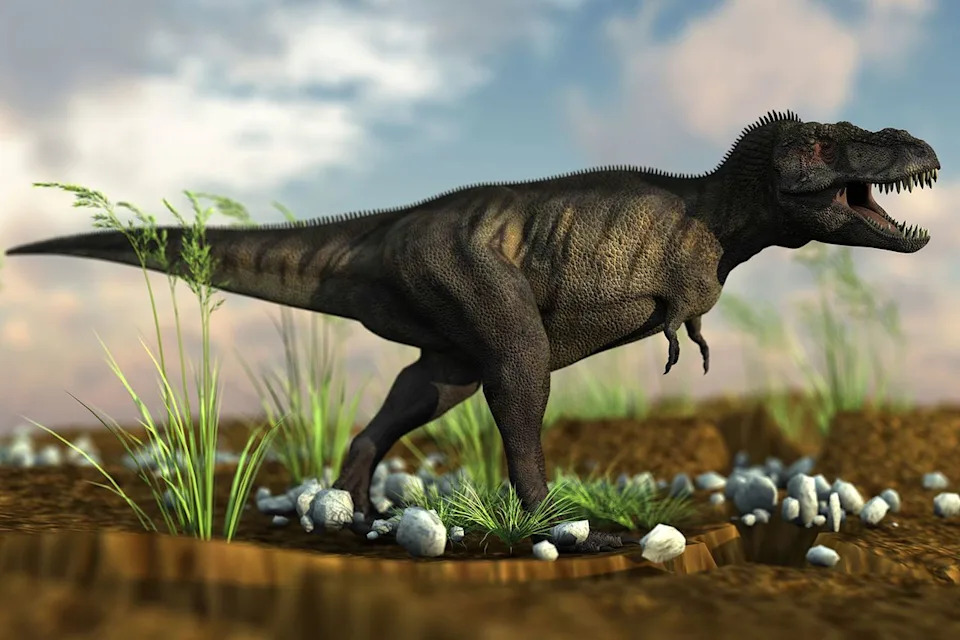 Exceptionally Preserved Wyoming T. rex ‘Rex Junior’ Could Rewrite How We Picture T. rex