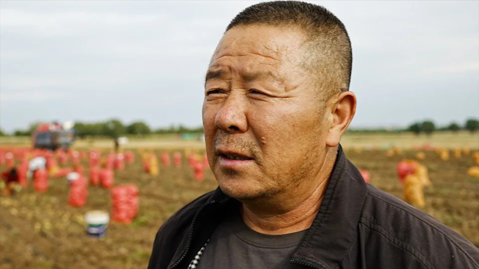 China’s New Rural Skyline: Data Centres Rise on Potato Plains to Power an AI Push