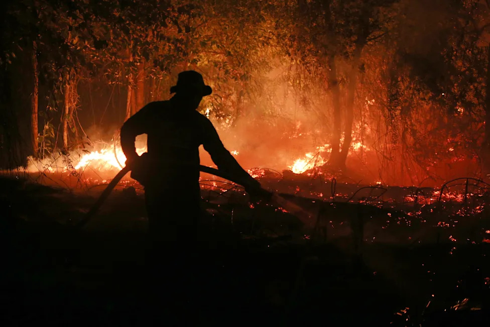 Strong El Niño Could Add Up to 451,000 Heat-Related Deaths, Study Warns