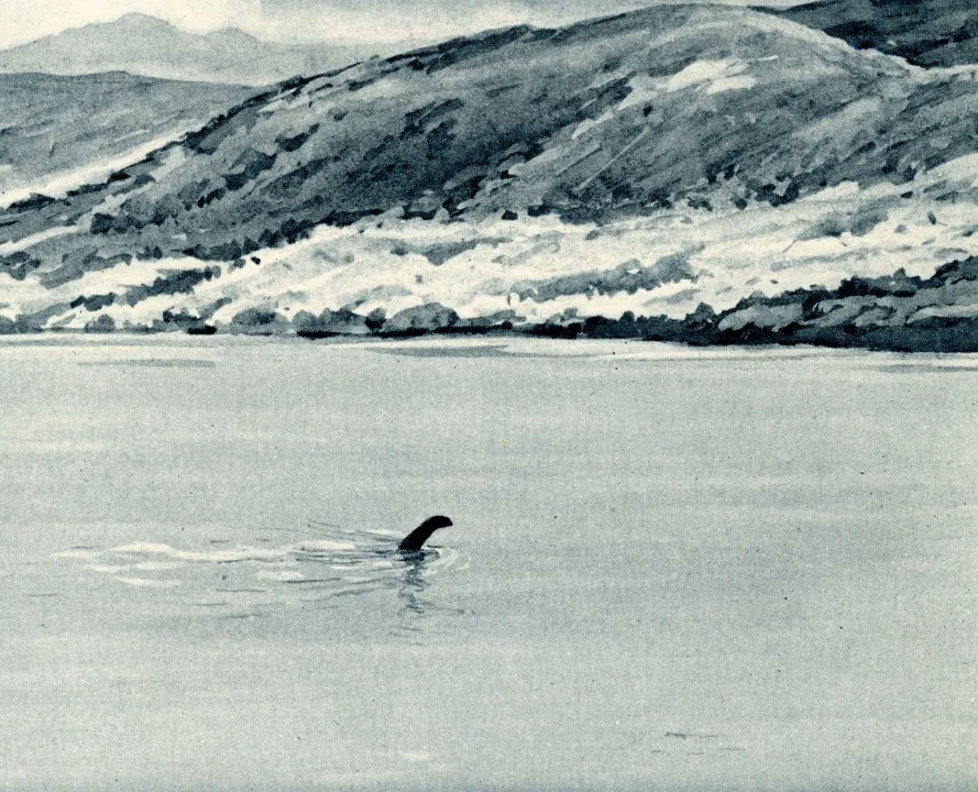 Google Maps Image Reignites Loch Ness Debate — Local Hunter Says Canoes, Skeptics Call It Inconclusive