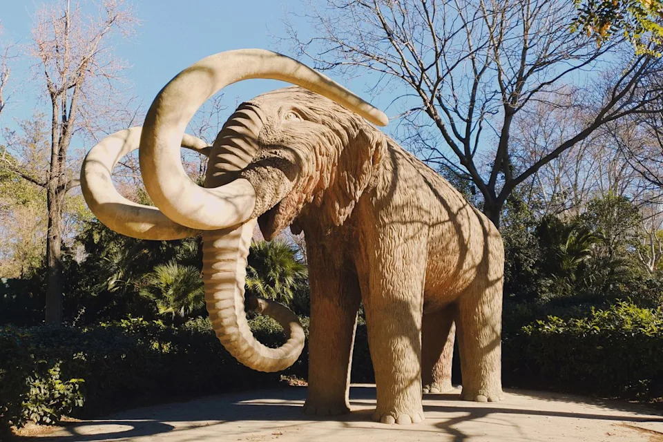 How Mammoth Tusk Growth Patterns Shaped 18,000‑Year‑Old 'Venus' Figurines