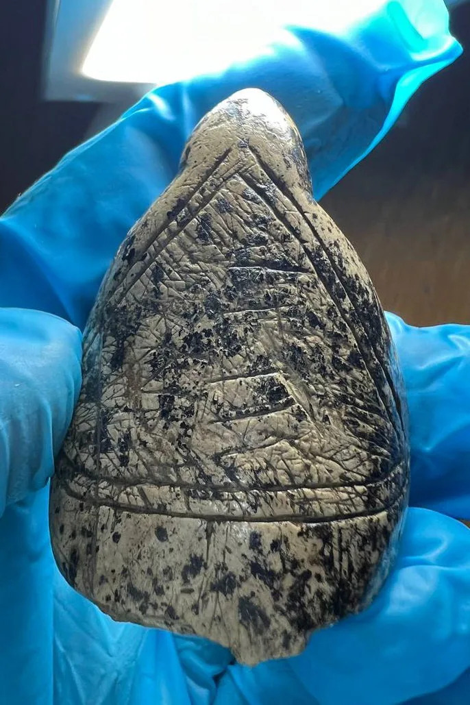 How Mammoth Tusk Growth Patterns Shaped 18,000‑Year‑Old 'Venus' Figurines