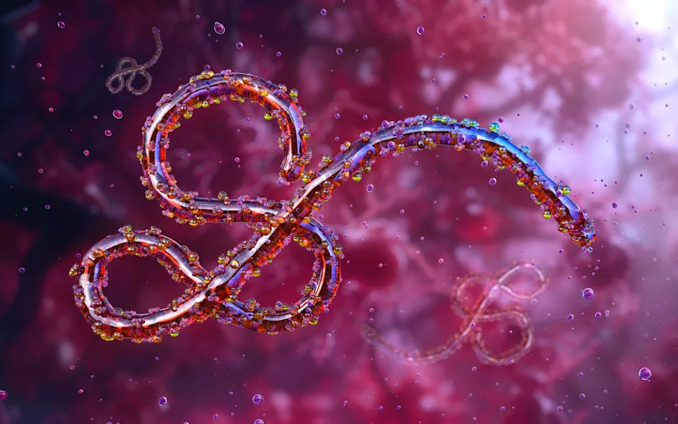 UK Expands Sewage Surveillance to Detect Ebola and Other High-Risk Pathogens