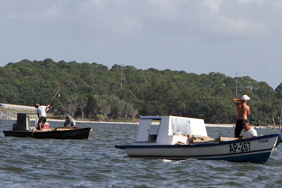 Restaurants' Oyster Shells Returned to the Sea Help Rebuild Florida's Collapsed Reefs