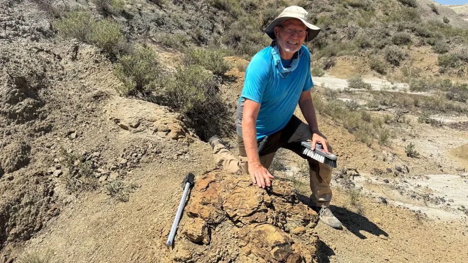 First Confirmed T. Rex Trackway Discovered in Hell Creek — Teacher Uncovers Five Giant Prints