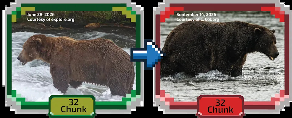 Fat Bear Week 2026 Kicks Off — 16 Bears Compete as Voting Overwhelms Servers