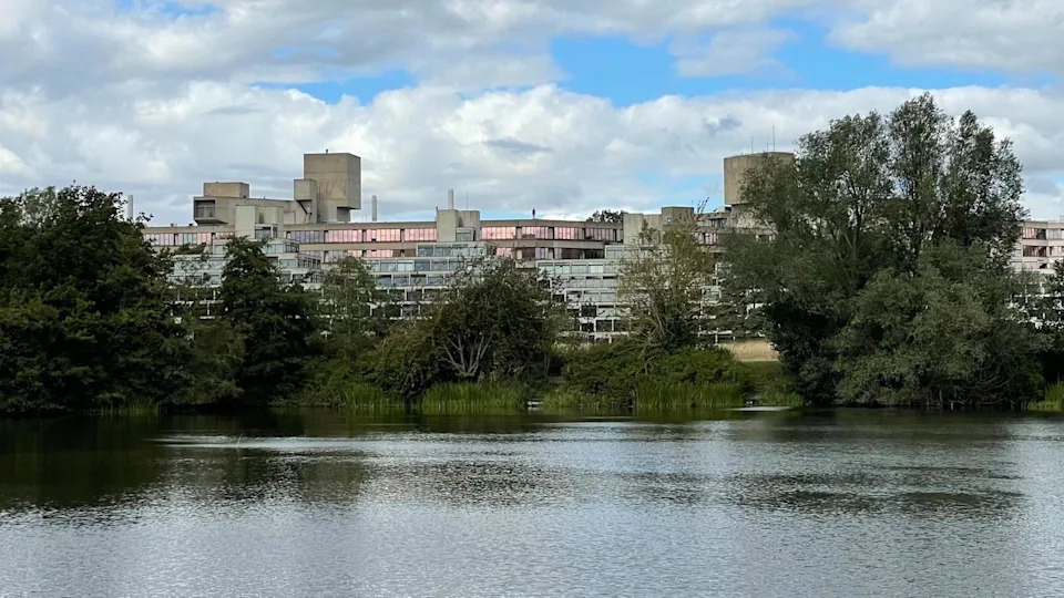 UK Students Warn Turnitin Licence Change Could Let AI Train on Their Coursework