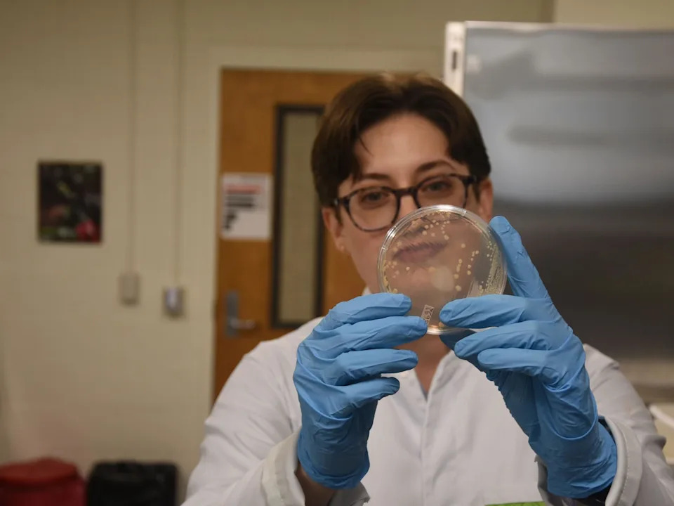 Frogs' Skin Bacteria Act as Living Armor Against Deadly Chytrid Fungus